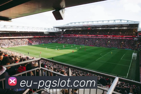 PG电子官网平台生态图